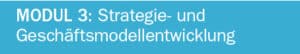 Modul 3 Strategie- und Geschaeftsmodellentwicklung